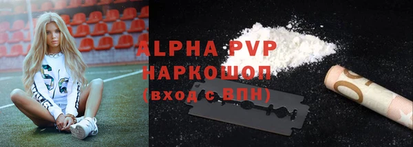 гидра Арсеньев