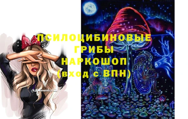 гидра Арсеньев