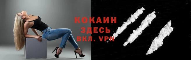 гидра Арсеньев