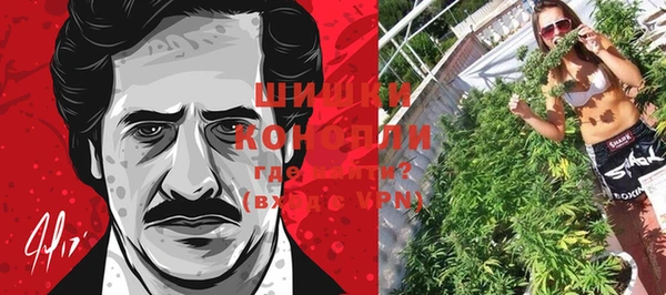 гидра Арсеньев