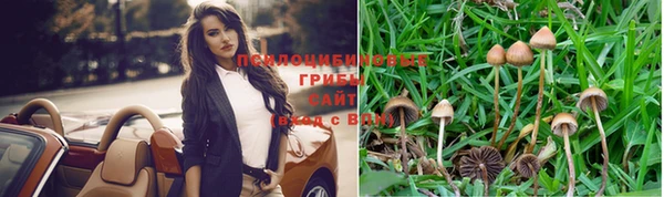гидра Арсеньев