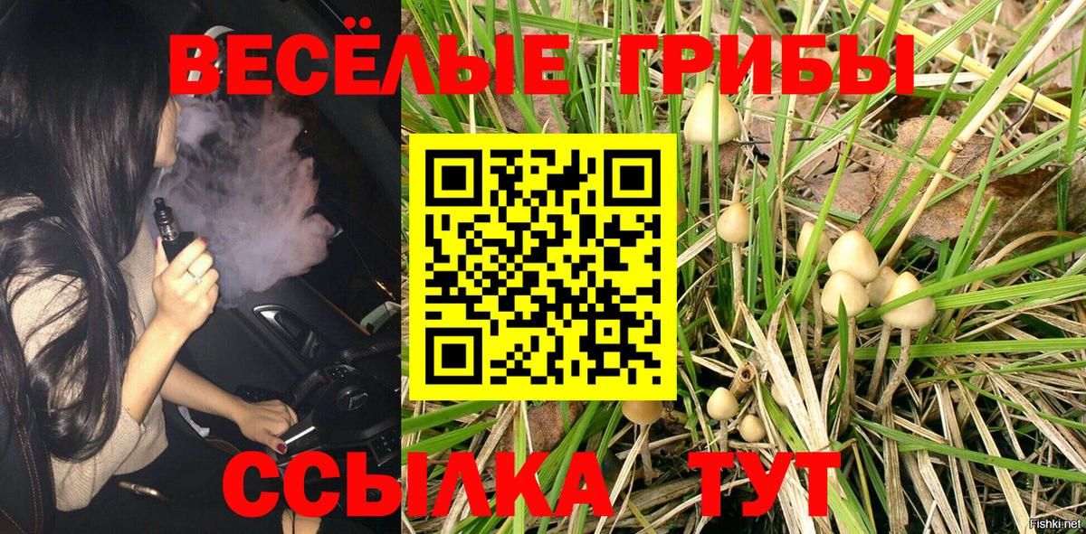 Псилоцибиновые грибы мухоморы Лянтор